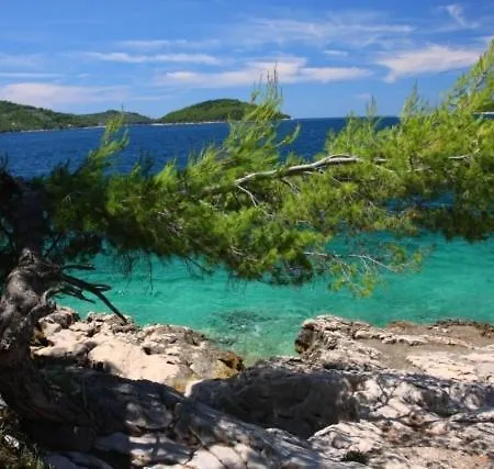 House In Tri Porte With Sea View, Terrace, Air Conditioning, Wifi 39-1 펜션 *